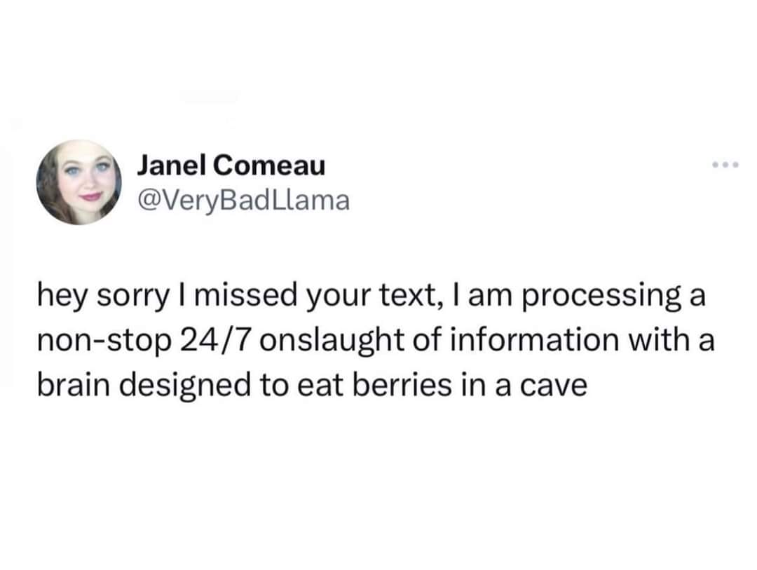 This meme is a humorous response to a missed text. The text reads, "hey sorry I missed your text, I am processing a non-stop 24/7 onslaught of information with a brain designed to eat berries in a cave." The joke is that the person is using a humorous and absurd explanation for why they missed the text, implying that their brain is so busy with information that it's like having a brain designed to eat berries in a cave, which is a ridiculous and absurd explanation.